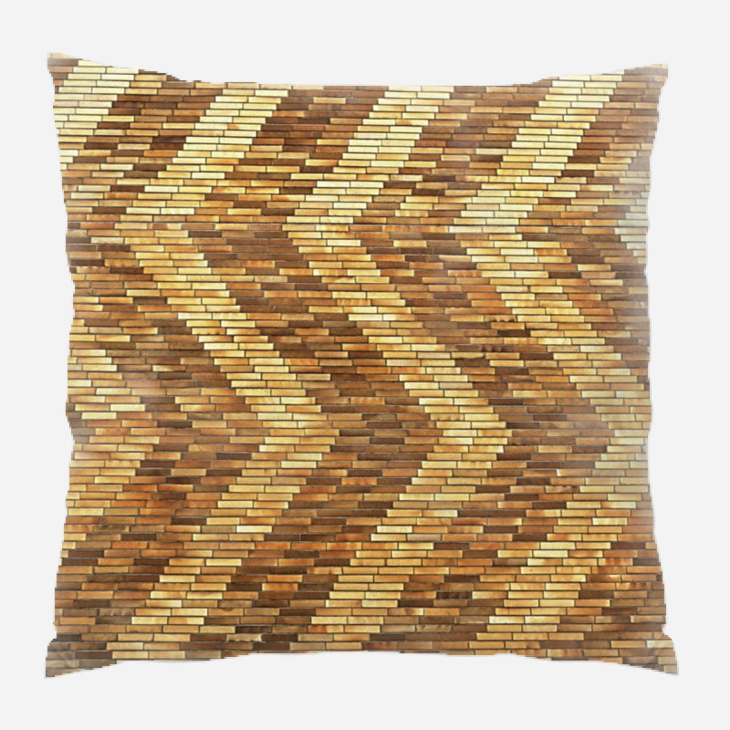 Coussin décoratif façade