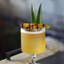 Tropical Wine Accessories