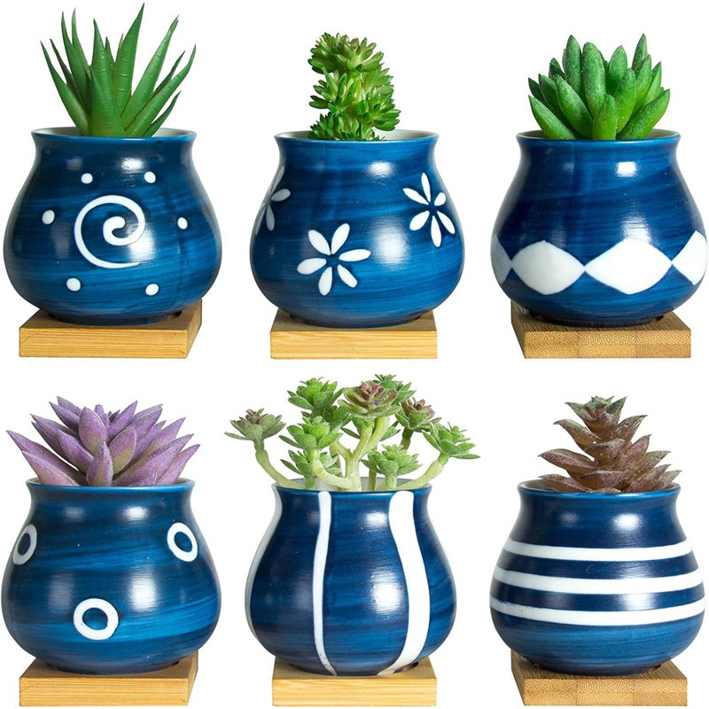 Mignons pots à plantes succulentes avec plateau de drainage en bambou avec pots de drainage et petits pots pour les petites plantes d'intérieur