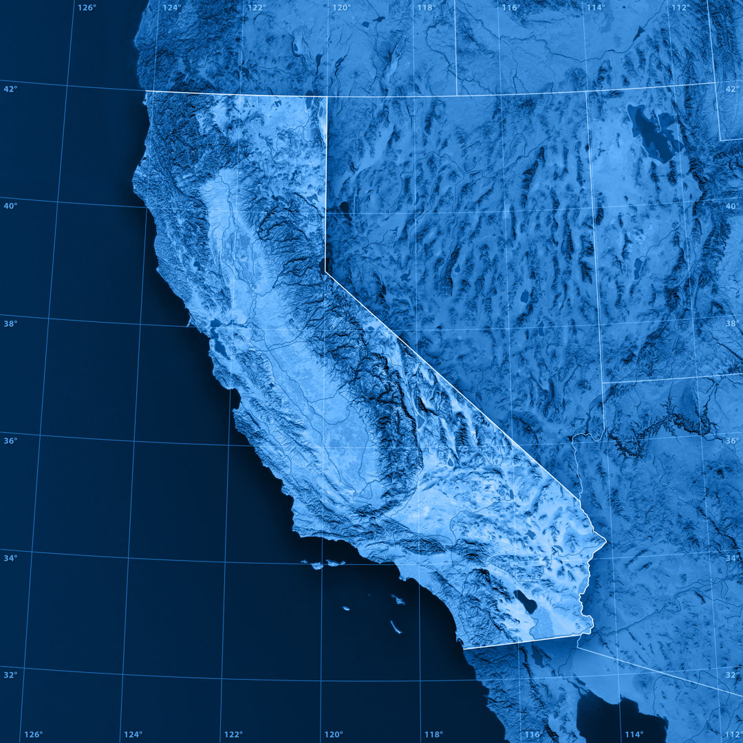 Topografische Karte von Kalifornien - Leinwandbild