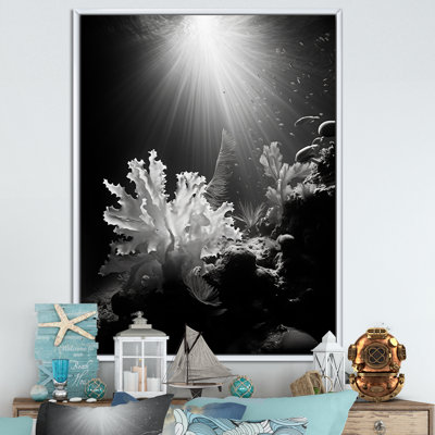 " Black And White Coral Plant II "