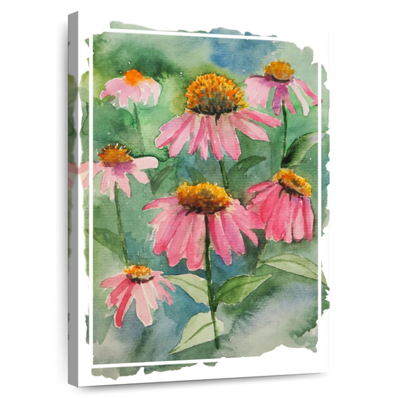 Harnek Coneflower Garden, H 36 po x l 24 po