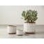 Pot Planter