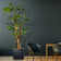 Buchanan 66" Artificial Scindapsus Aureus Tree in Planter