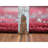 Ellesha One-of-a-Kind Runner 2'6" X 9'1" New Age Runner Area Rug in Red
