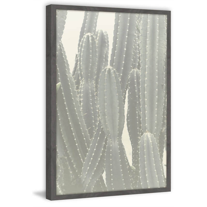 Tall Cactus - Single Picture Frame Print, 61 cm H x 41 cm W