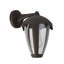 Nadler 26cm H Outdoor Wall Lantern