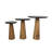 Brajon End Table Set