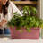 Vaneka 18-in Width Plastic Fluted Window Box Planter With Saucer Tray-1065338177