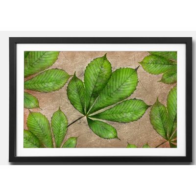 Streetart Chestnut - Single Picture Frame Print