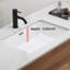 Évier de cuisine encastré, lavabo de cuisine encastré en céramique blanc profond L 24 po x l 16 po sans grille de fond et drain de crépine Eridanus