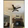 52'' Iris 5 - Blade Standard Ceiling Fan with Remote Control and Light Kit Included