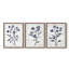 Étude florale CLxxvi -Set de 3 estampes numériques giclées -Prêt à accrocher-1869854576-1869854577