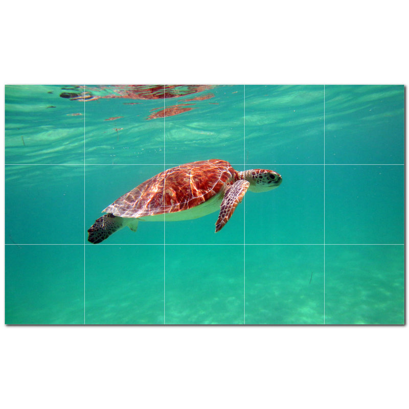 Murale en céramique satinée 8 po x 8 po Turtle Photo