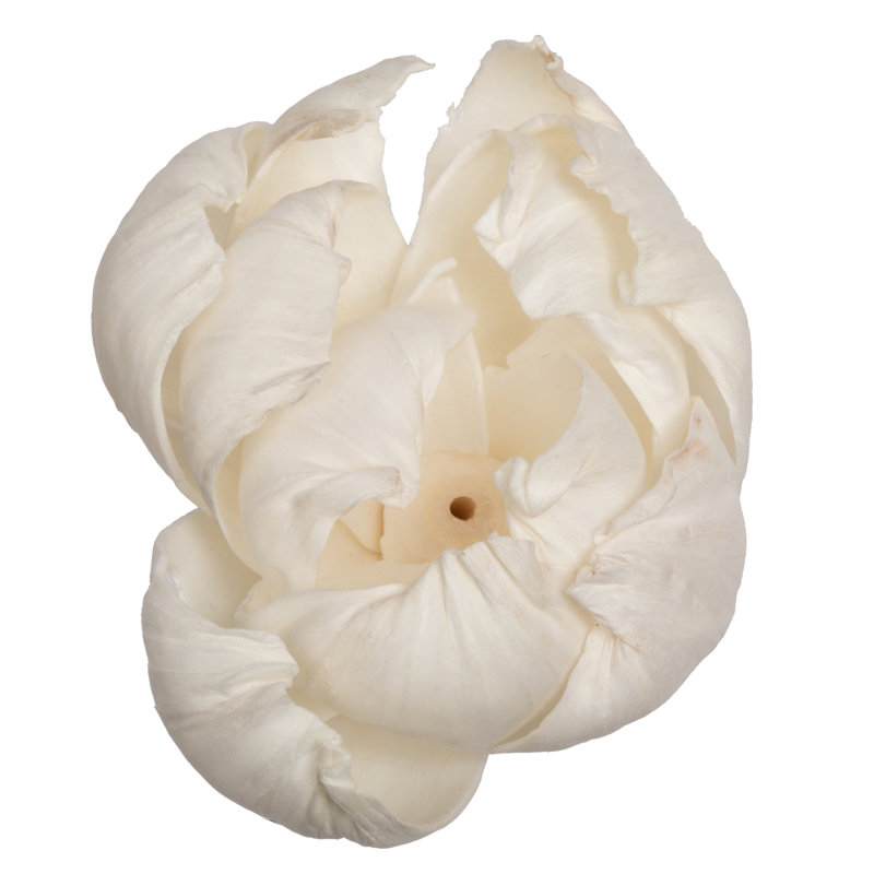 Preserved Peony Arrangement
