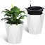 Pot Planter-685284879