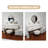 Makeup Vanity with Light mirror,5 drawers,1 chair