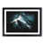 Black Framed selected