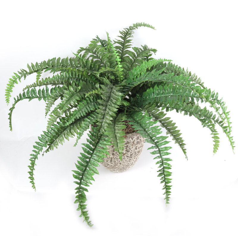 UV Resistant Polyethylene Artificial Fern, 18" H x 48" W x 3" D