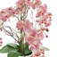 Arrangement moderne d'orchidées dans un pot rond en fibre de pierre-458349337