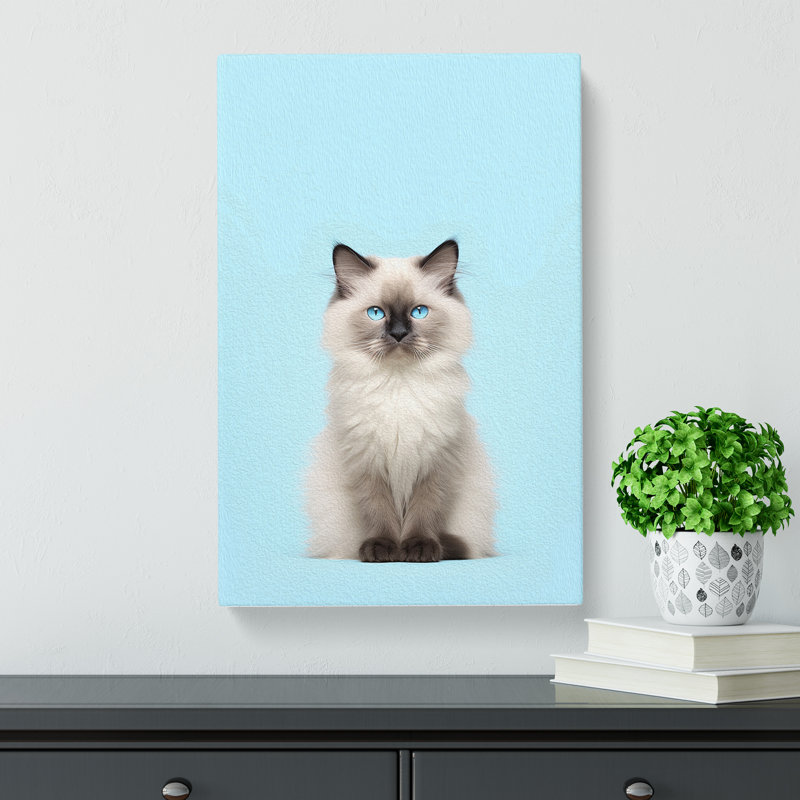 Ragdoll Cat Minimalism - Wrapped Canvas