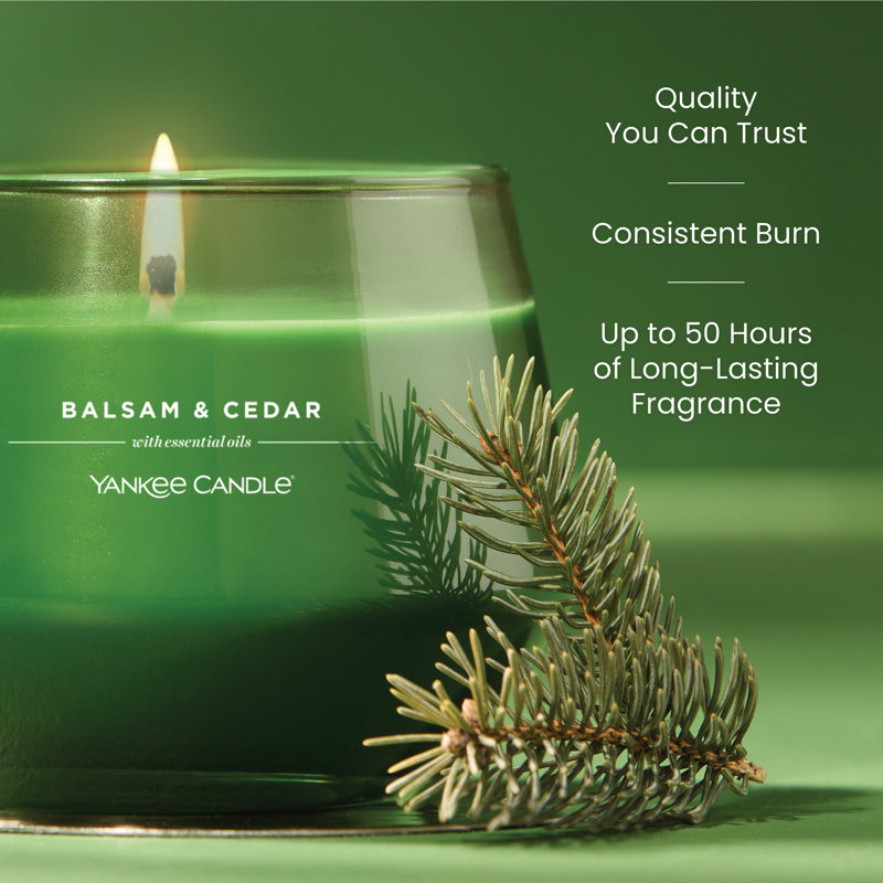  Balsam & Cedar Studio Scented Candle