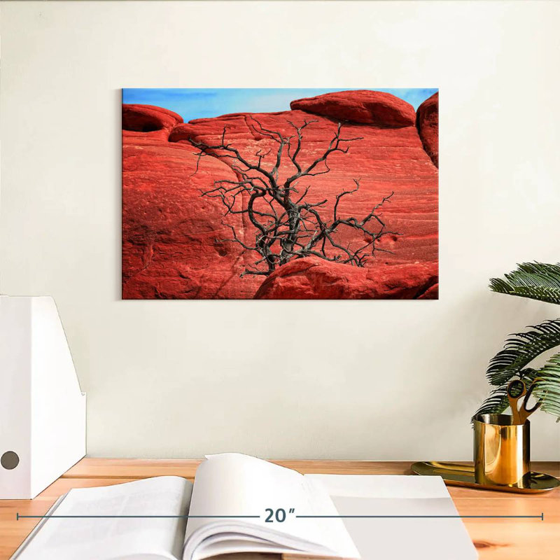 Harnek Dead Tree By Red Rocks, 8" H x 12" W