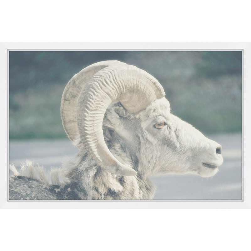Parvez Taj - Single Picture Frame Print, 61cm H x 91cm W x 3.81cm D