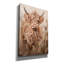 «Epic Graffiti», «Highland Cow» par Ashley Bradley, art mural sur toile-108584925