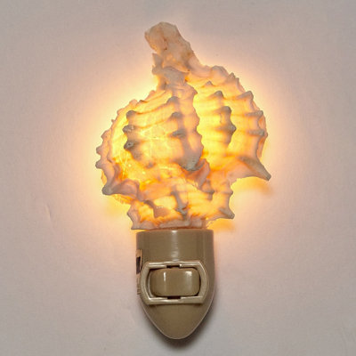 Murex Seashell LED Night Light