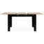 Sachika Extendable Dining Table-1791035730-1791035733-1791035735