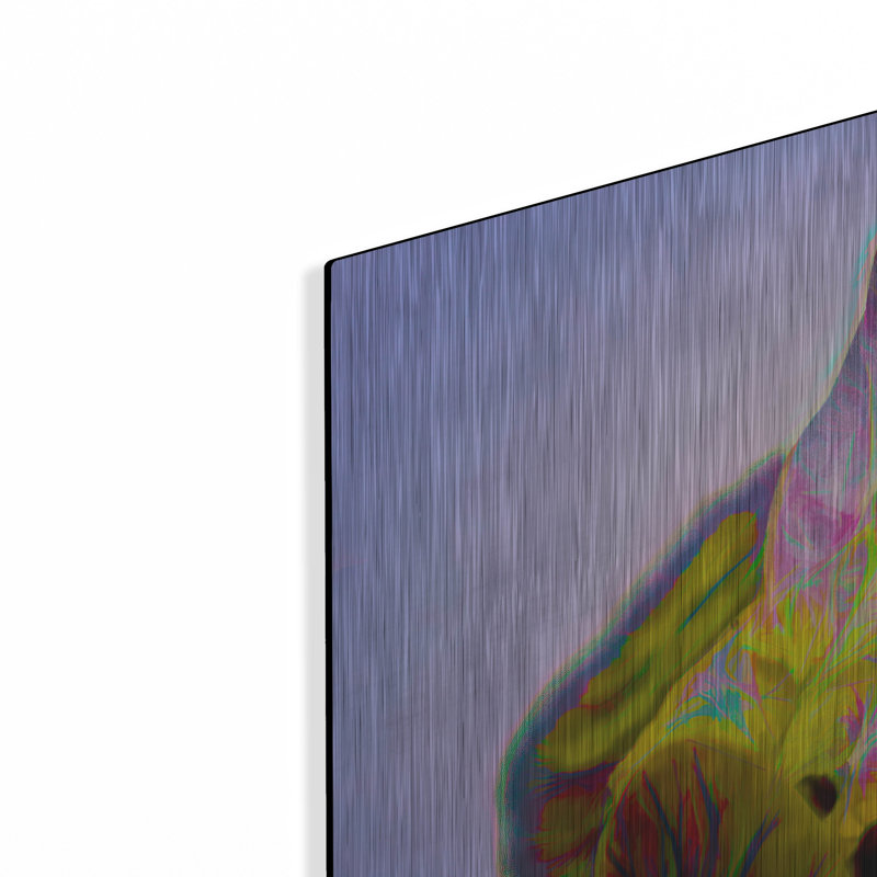 «Bougainvillea Leaf» par Pamela Plummer, H 24 po x l 36 po