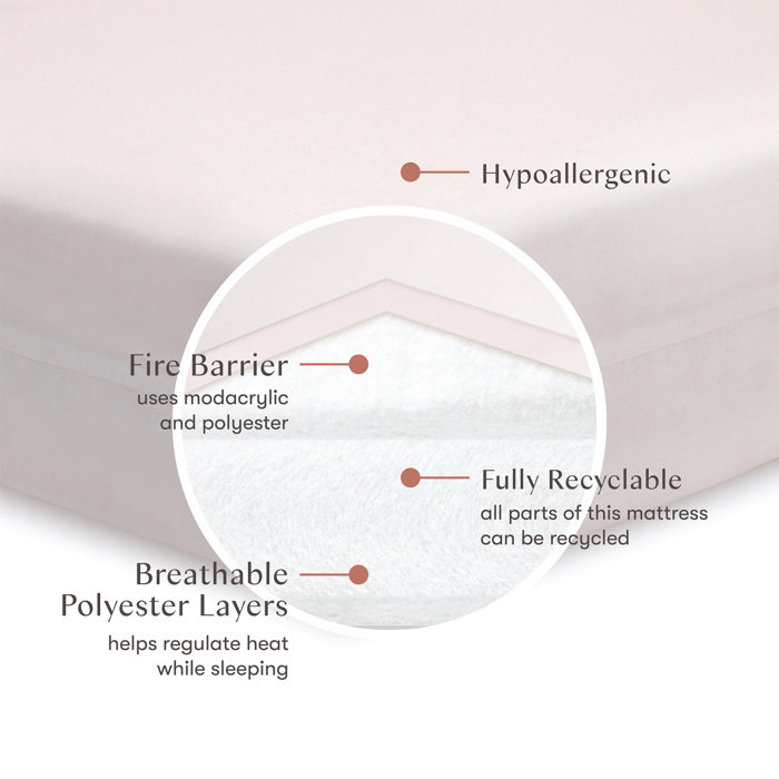 babyletto Pure Core 2-Stage Waterproof Standard Crib Mattress & Reviews ...