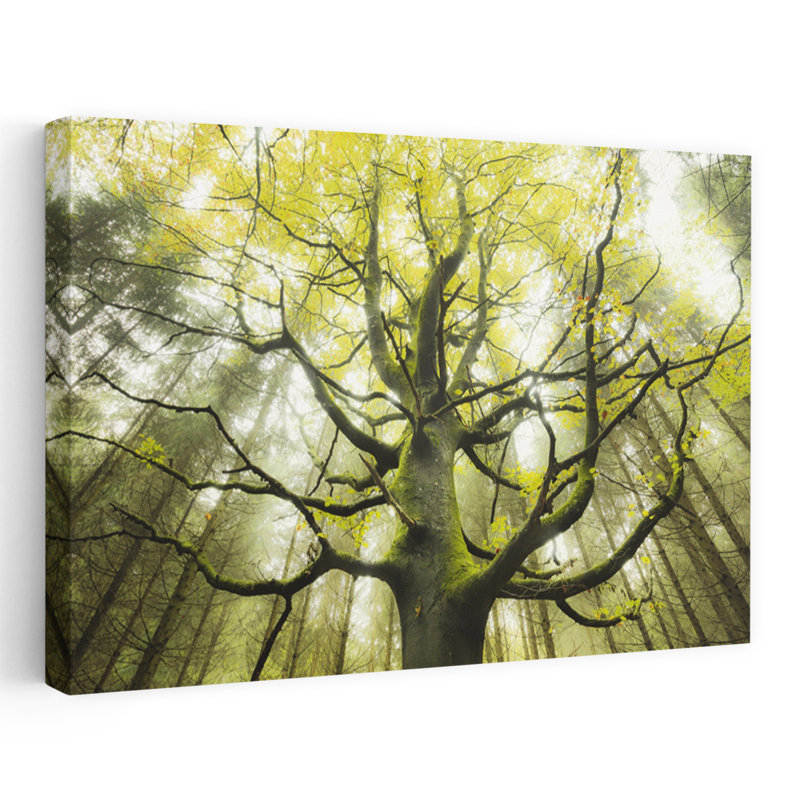 «The Dream Tree Abstract Contemporary Forest Landscape», reproduction d'art murale, 40" H x 60" W