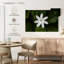 Fleur de jasmin Harnek-107863430
