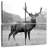 Proud Deer BW-1534644491