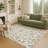 Machine Washable Indoor/Outdoor Chantille ACN2473 Global Rug-769965596-769965593