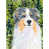 Australian Shepherd 1