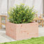 2 Wood Planter-100491930-100491953