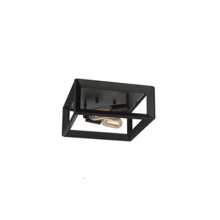 Plafonnier encastré 2 lumières 12 po
