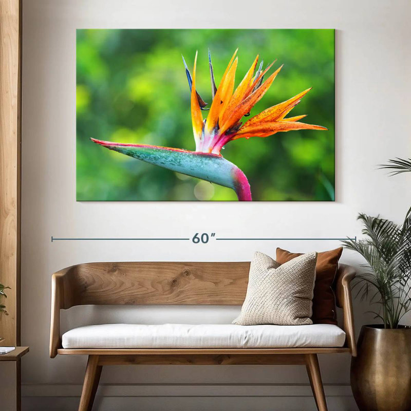 Fleur de l'oiseau du paradis, H 34 po x l 51 po