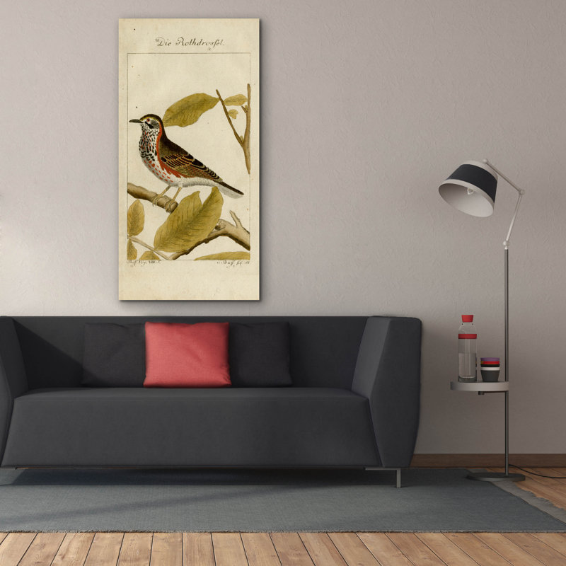 Toile épique Graffiti «Die Rothdrosfel» par Art Licensing Studio, 30 po x 60 po