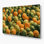 «Fruit Snap Melon», art mural en métal