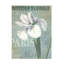 Art mural sur toile tendue - Gail Fraser «Flower Show - Paris 4», art mural pour salon, chambre à coucher ou bureau - 35 x 47