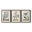 Pastel Birds I Premium encadré mat - prêt à être accroché-137515670-137515693