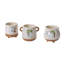 Pot sur pied Optimistic Ghost 4,75 po x 5 po-1956518194