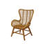 Padmini Upholstered Accent Chair
