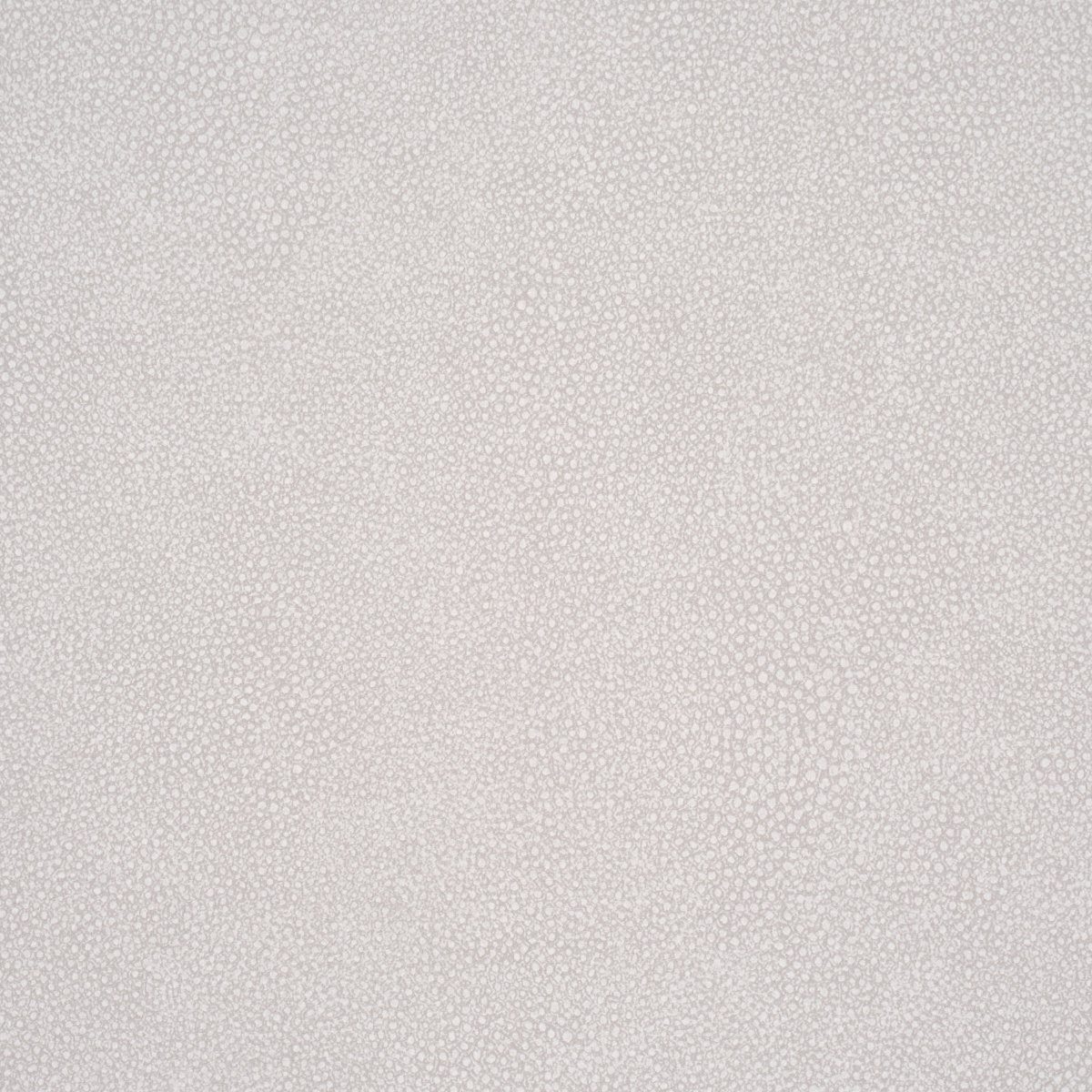 Dunbar Wallpaper, White