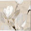 «Neutral Tulips» par Lanie Loreth, art sur toile (ensemble de 2)