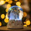 Christmas Snow Globe